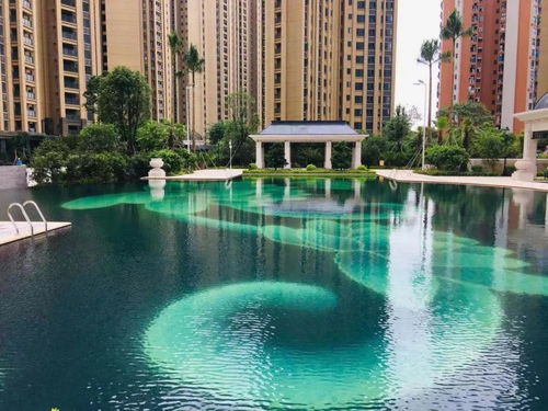 新房价博野 新房价博野