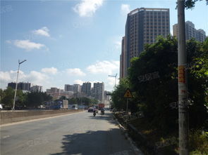 化州宏达广场楼盘电话