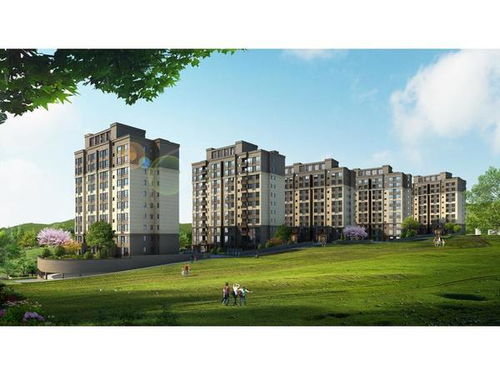 青白江区房子 青白江区房子