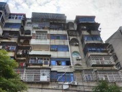 洪垸小区 洪垸小区