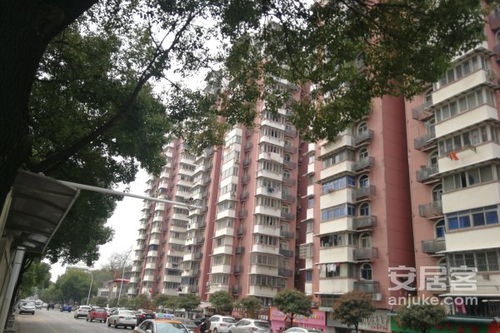 武昌园丁小区 武昌园丁小区